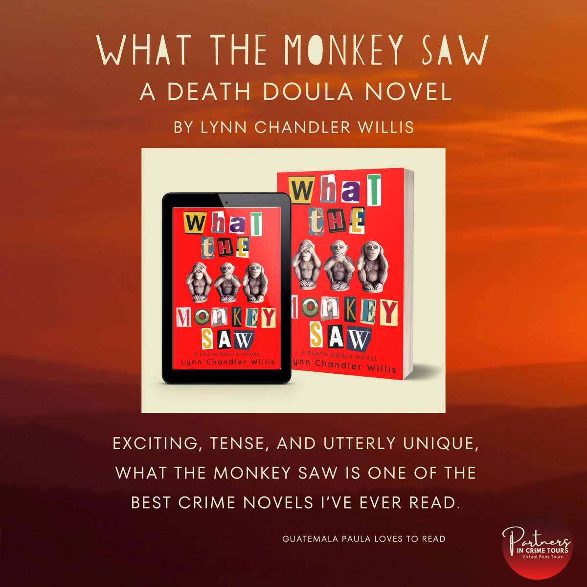 Looking for a terrific book? Check out What the Monkey Saw by Lynn Chandler Willis! amzn.to/3VEpKSC #book #booklove #booksbooksbooks #readingchallenge #readinglist #reading #readingisfun @LynnCWillis @KarenSiddall