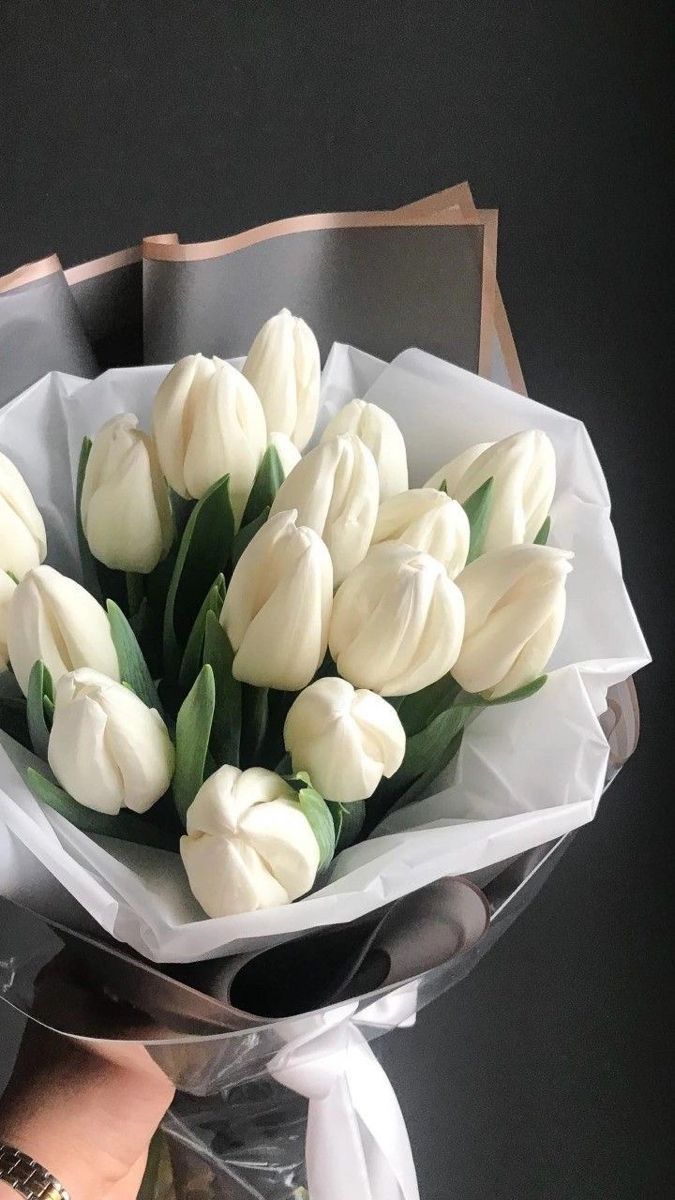 white tulips