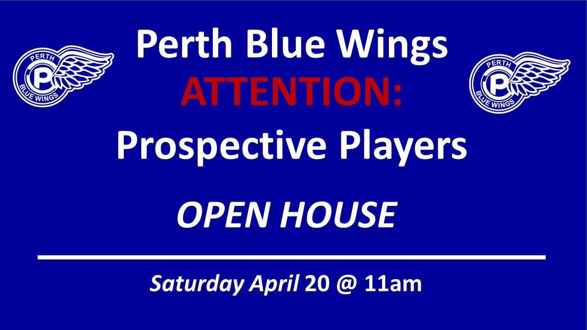 Perth Blue Wings tweet media