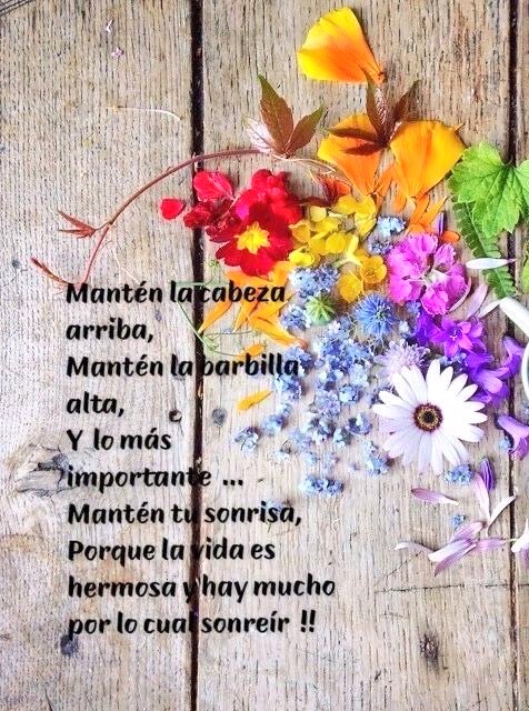 Feliz día!! 🍃🌹 #DaleConMaduro Cuando enlazamos la fuerza de la armonía, de la felicidad y del amor, creamos éxito y buena fortuna sin esfuerzo. @vilma_eterna @sally_maldonado @ber72 @javierfundora3 @EricCue5 @edalge @PedroJesusLanz4 @AlbertoPac10922 @ivoneyepez21 @rus_ito