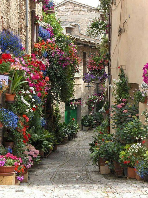 dclarkfleck's tweet photo. Spello, Italy 🇮🇹 https://t.co/8oXjECWrk0