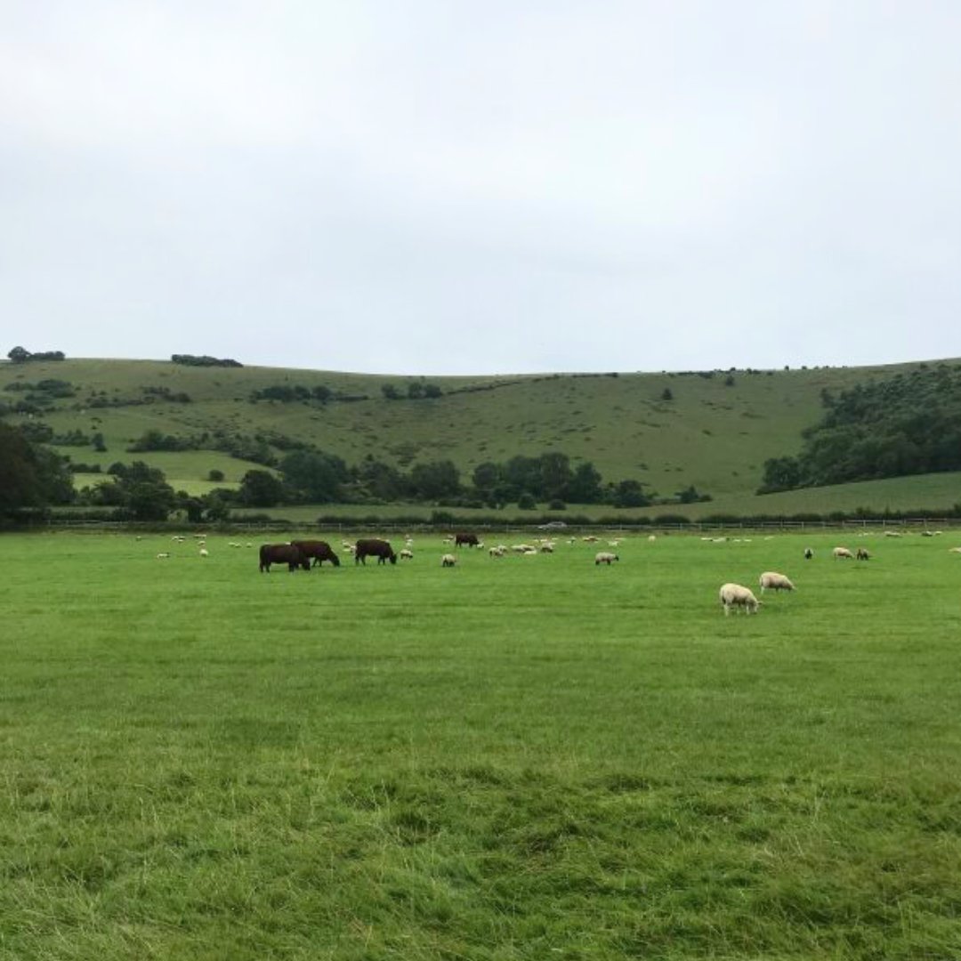Have an interest in Agricultural Habitats? This 7-week course is delivered 1-day a week and covers both the theory and practical aspects of managing agricultural land. Date: 3rd May - 21st June 2024 Time: 9:00am - 4:00pm Cost: £295 Sign up today: eu1.hubs.ly/H08zbbg0
