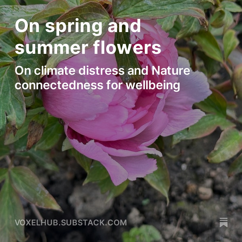 🚨 Check out our new post: On spring and summer flowers - On climate distress and Nature connectedness for wellbeing. In this post, I am writing about shifting seasons, irregular changes in nature, and their impact on our health and wellbeing.
bit.ly/43WHdLu