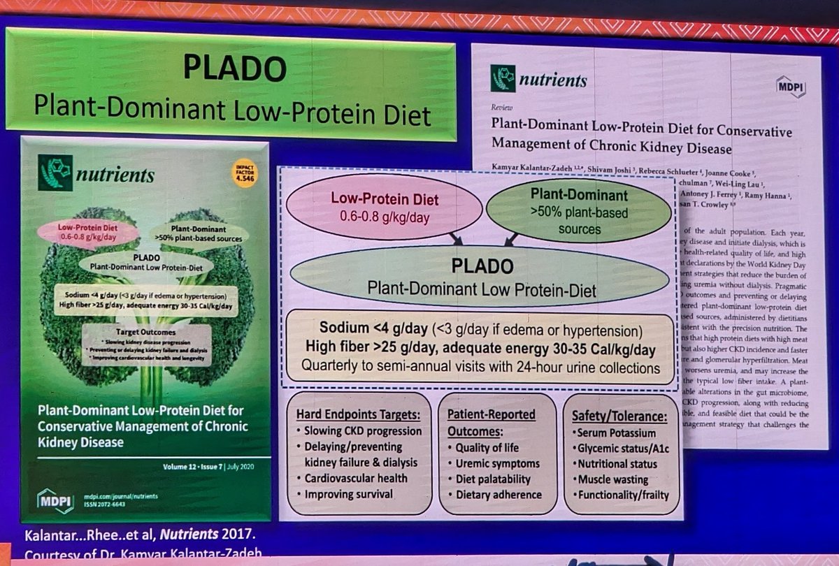 🔥🔥The most awaited Hot debate🔥🔥 🍖 or 🌿 🔁Should a low protein diet be a part of advanced CKD management? 🥗Get to know the PLADO diet #ISNWCN #NIH #ckd #ckddiet @hswapnil @ConnieMRhee
