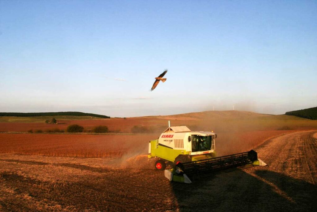 “Las pruebas científicas son abrumadoras. El glifosato debe ser la molécula más estudiada del mundo y sobre la que se ha demostrado todos los efectos nocivos”, sostiene el investigador del Conicet Rafael Lajmanovich. 🚜☠️❗➡️bit.ly/3U4roOC