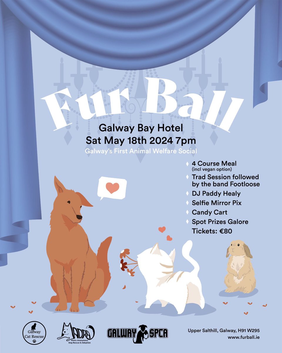 A great night and a great cause! furball.ie in support of 3 of Galways amazing animal charities GalwaySPCA, Galway Cat Rescue and MADRA - Mutts Anonymous Dog Rescue and Adoption Food, entertainment and lots of laughs! What are you waiting for?
