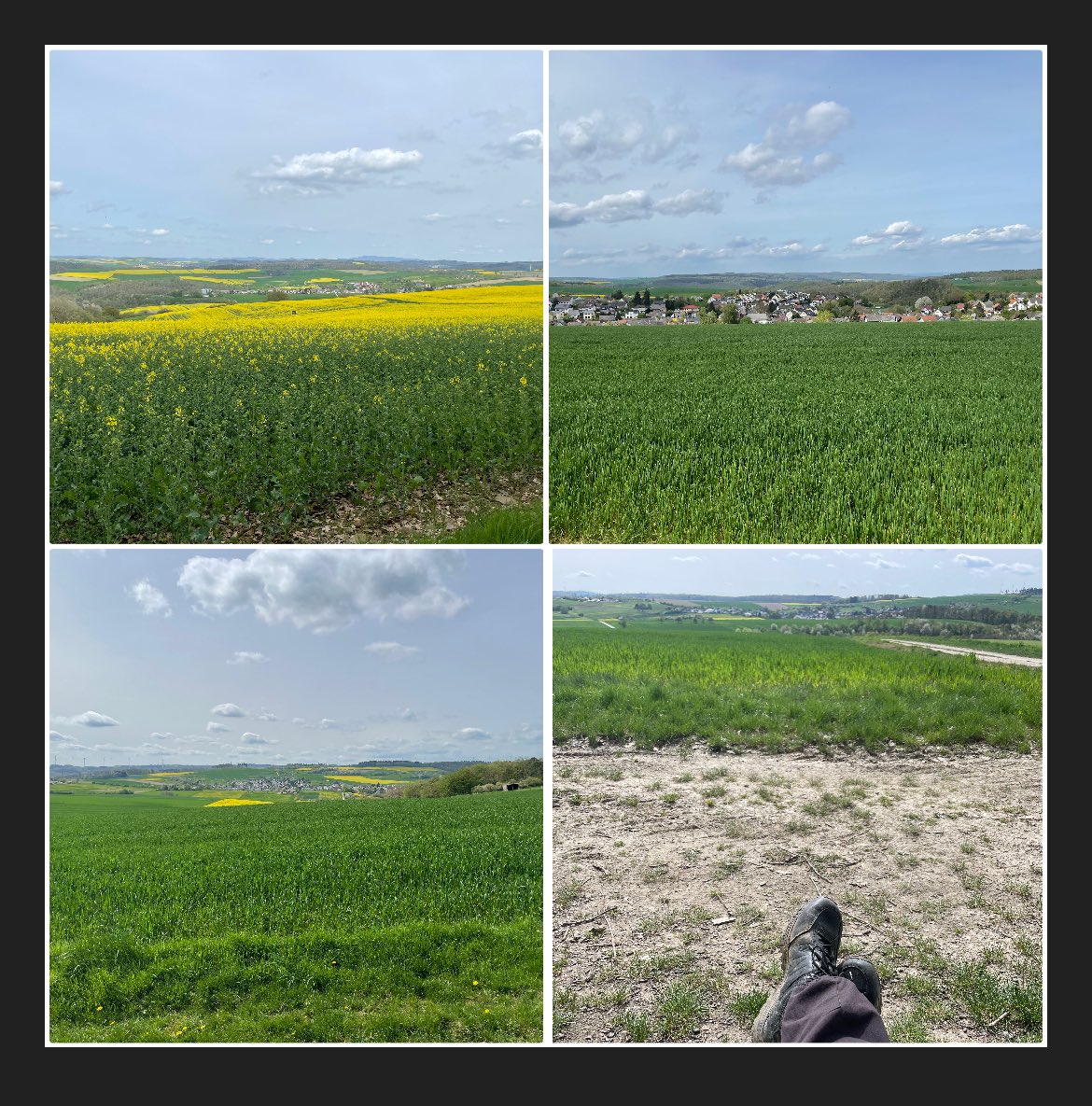 Rund um Holdesse und rundum zufrieden 😊