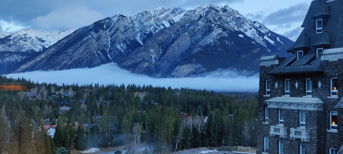 Sacha LEBON (@sachalebon) on Twitter photo Grateful to have been awarded the <a href="/KeystoneSymp/">Keystone Symposia</a> Future of Science Fund Scholarship to present my research at the Banff Symp. 3 amazing days of science & natural wonders! Many thanks to the organizers <a href="/XuZhouLab/">Xu Zhou (周旭)</a>, <a href="/KateJeffrey1/">Kate Jeffrey</a> and <a href="/TheXavierLab/">Xavier Lab</a> for this opportunity! Grateful to have been awarded the <a href="/KeystoneSymp/">Keystone Symposia</a> Future of Science Fund Scholarship to present my research at the Banff Symp. 3 amazing days of science & natural wonders! Many thanks to the organizers <a href="/XuZhouLab/">Xu Zhou (周旭)</a>, <a href="/KateJeffrey1/">Kate Jeffrey</a> and <a href="/TheXavierLab/">Xavier Lab</a> for this opportunity!