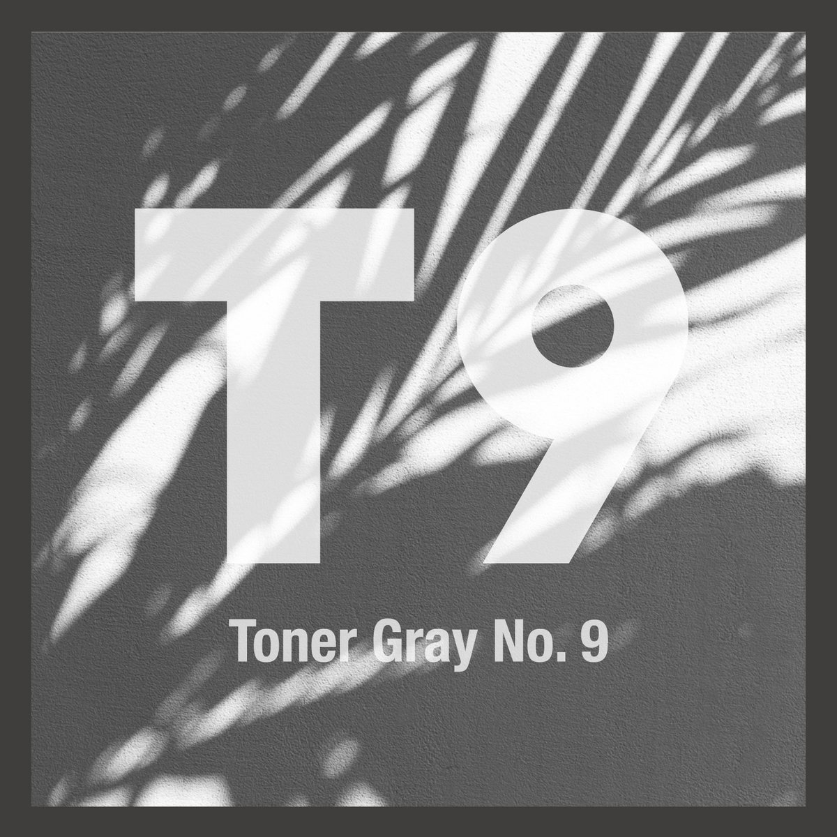 T10- Toner Gray No.10 The Toner Gray spectrum spans from T-0 to T-10, with T-10 representing the deepest and darkest shade within this range!