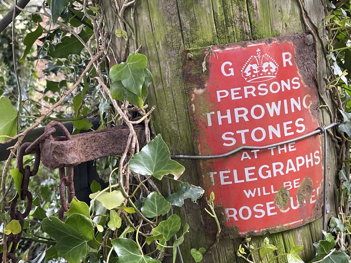 absolutoursuk's tweet photo. A quirky find amongst the ivy in a secluded spot #Cornwall. @BBGuides    #Cornishguide https://t.co/C1bQQ5GSv6