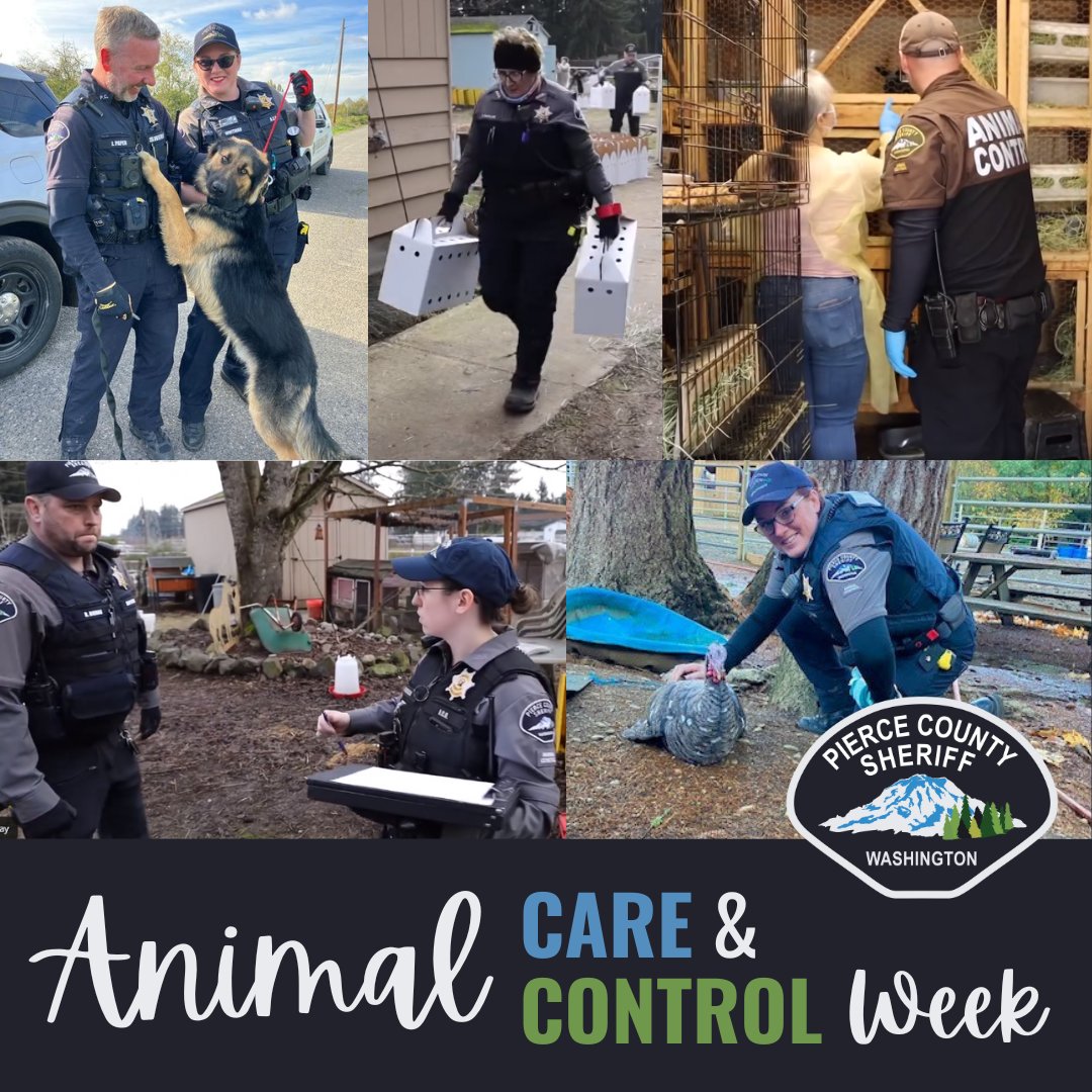 Pierce Co Sheriff tweet media