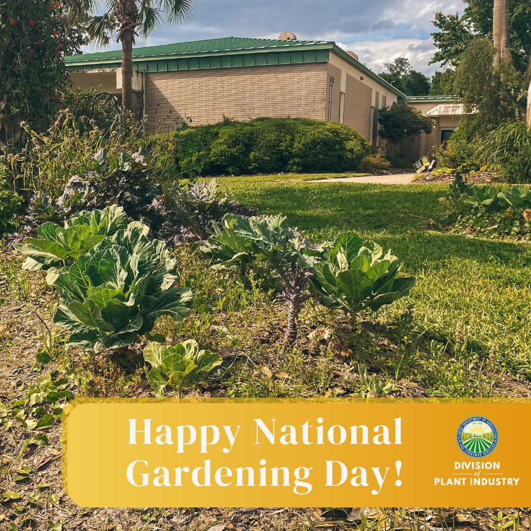 Happy National 🪴Gardening Day! With Florida's unique range of 🌤️ climatic conditions and 🌧️weather phenomena, there is something for every gardener in the ☀️ Sunshine State! Since 2019, DPI staff have tended to a 🌱 teaching garden which we use to train our plant inspectors!