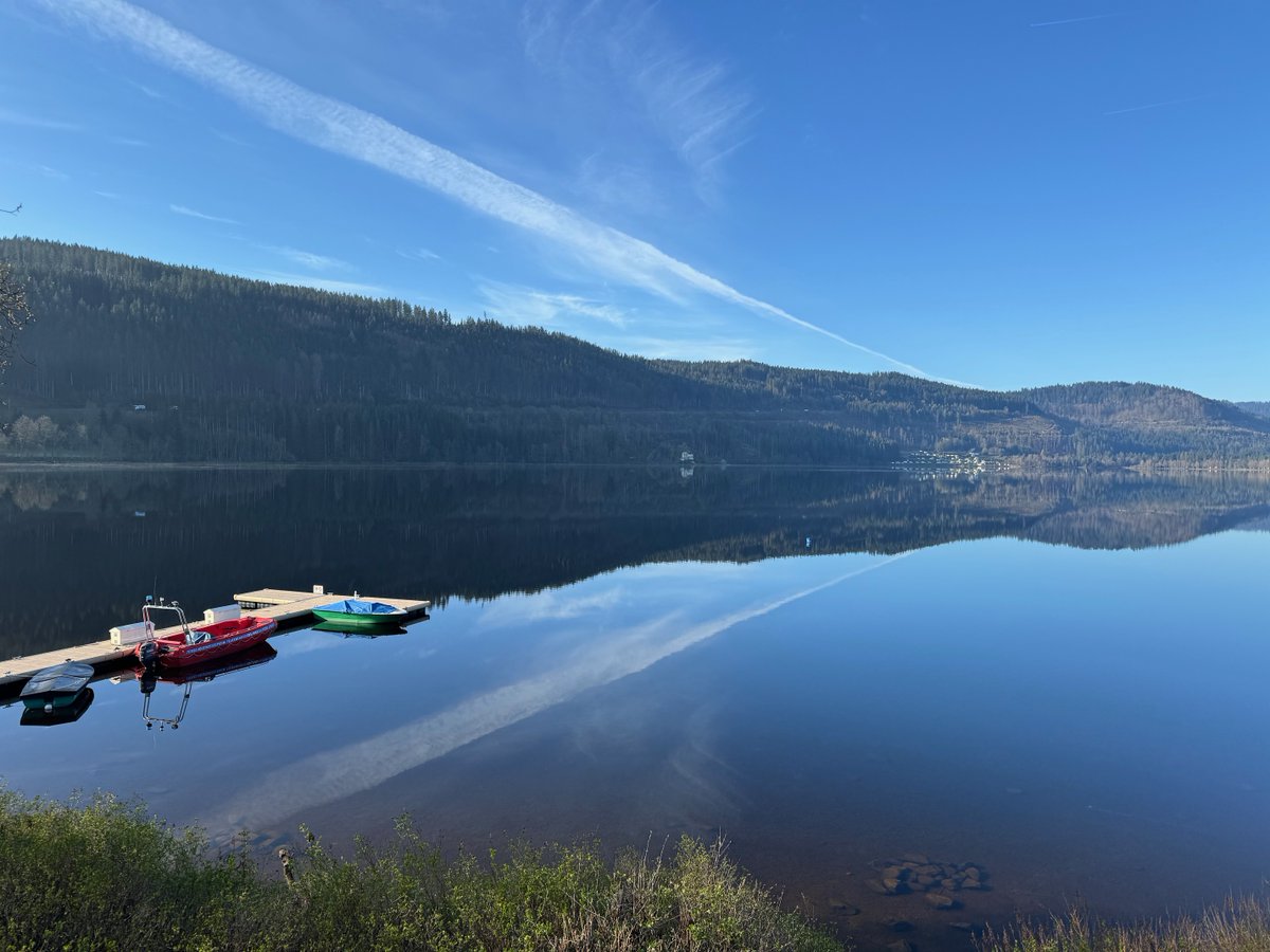 On my way home from 128th International Titisee Conference on Organelle Communication. The small, secluded setting was perfect for networking and scientific exchanges. I have met fantastic scientists, including Lalita Subramanian&Maya Schuldiner, both inspiring women in science.