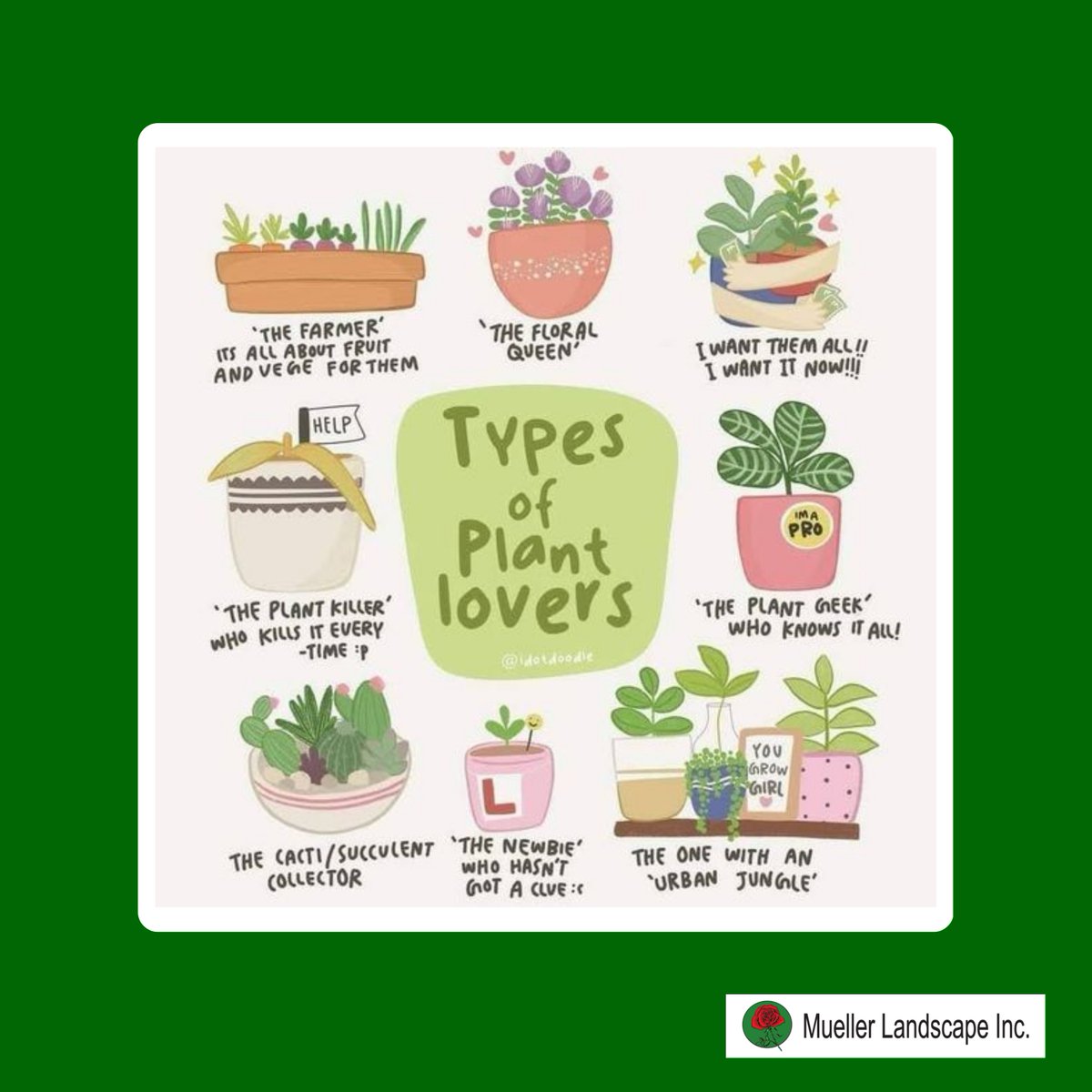 Which one are you? 😂🌿

#LandscapeDesign #GardeningGoals #OutdoorLiving #gardeningmeme #gardeningfunny