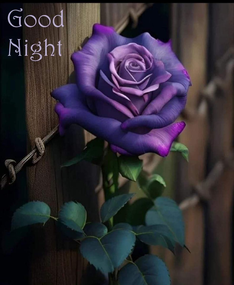 Linda Smith (@lindacabose) on Twitter photo 