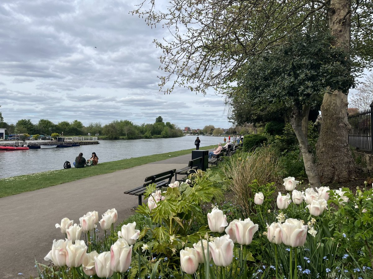 Surbiton stroll this afternoon with @walkngclasshero down to the other side of Seething Wells and back. Lots of walkers out enjoying @ThamesPathNT and top work by the brilliant @QueensPromenade volunteers on the planting, we especially loved the tulips. #LoveLondonWalkLondon