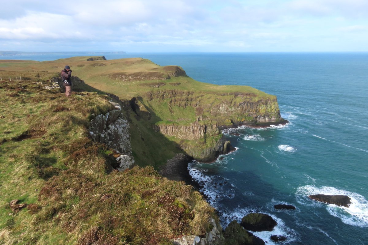 3 Great Skuas flying high over Kebble this morning - a relief to have the species reappearing after an even longer wait than last year, and hopefully we'll see a pair taking up their territory again soon. Nice to see a few Twites back too