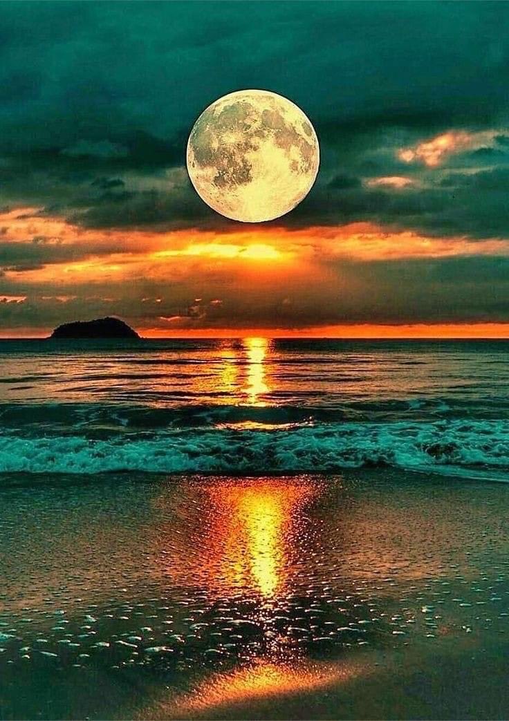 May the evening’s moonlight bring you the joy and happiness 💛💛💛