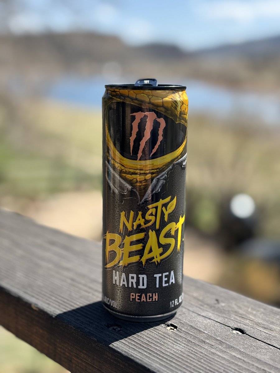 A day by the lake. Perfect for a @BeastUnleashed Hard Tea. #lakelife