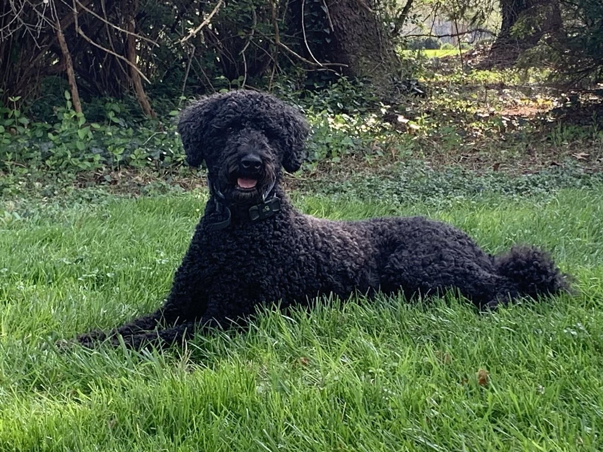 Winnie’s enjoying the sunshine today! Hope you are too, Kentucky.