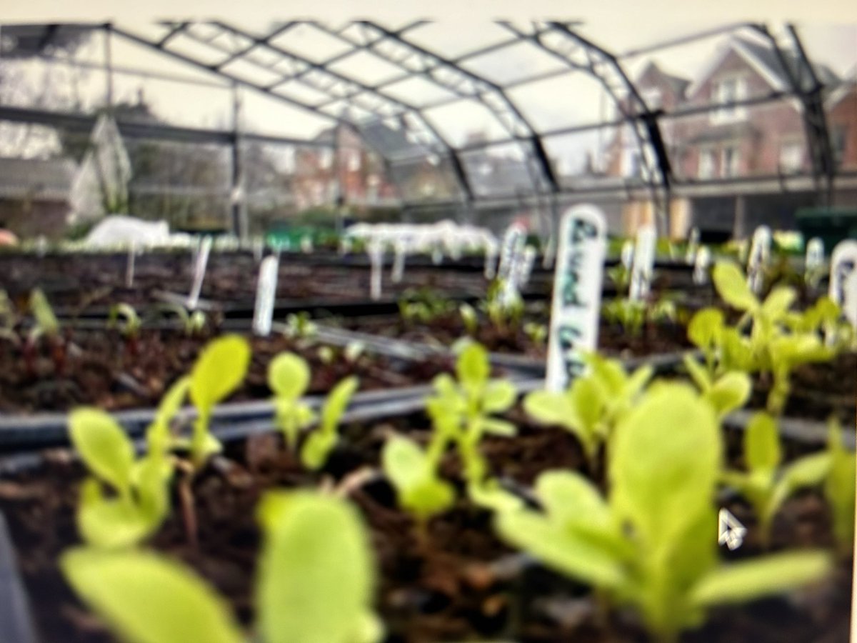 @myattsfields is offering a 6-week food growing/gardening minicourse starting this Thursday 18th April. If this would be of interest to you or someone you know, please contact Myatt’s Field directly on volunteering@myattsfieldspark.info or greenhouse@myattsfieldspark.info