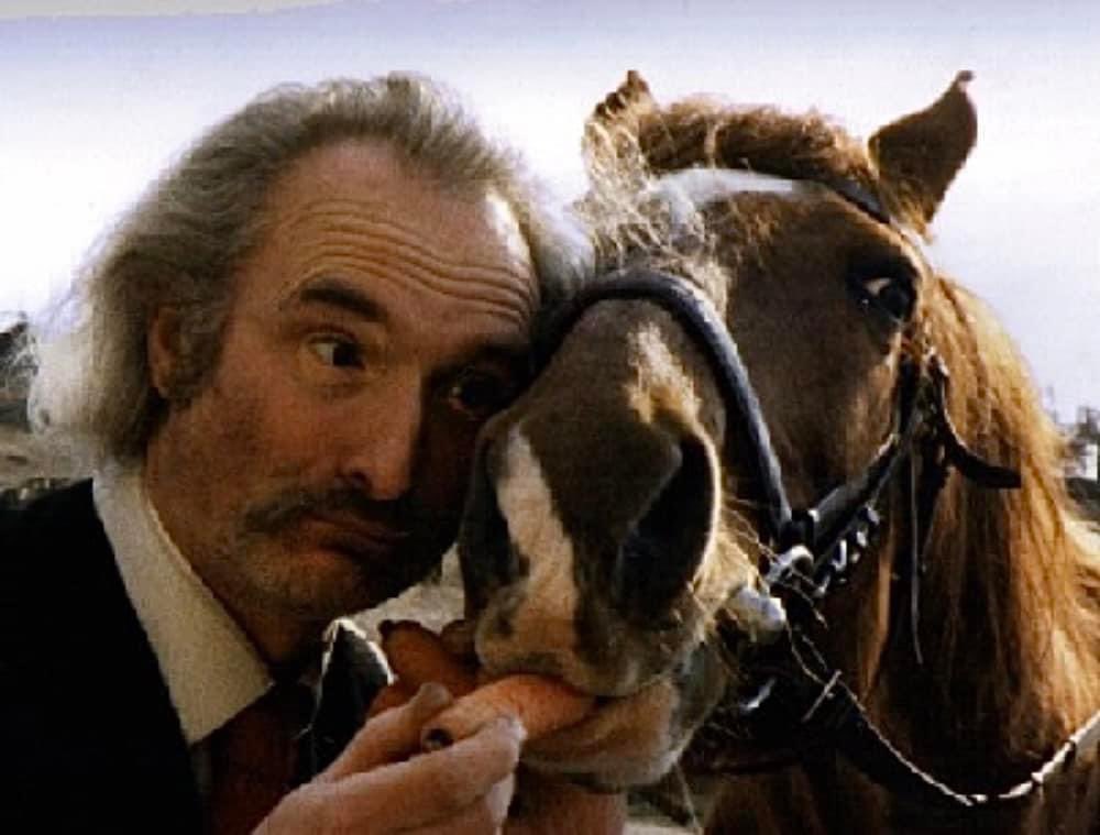 Holger Czukay feeding a horse in France, 1985 by Hildegard Schmidt