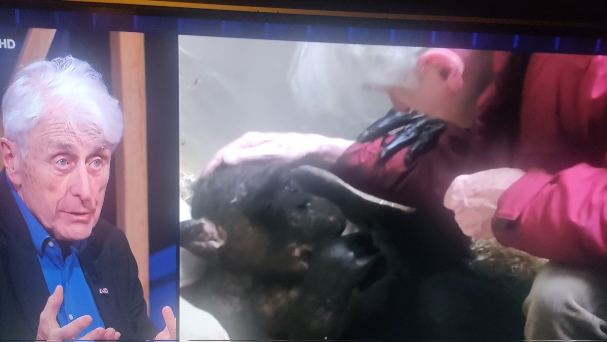 In un'epoca di guerre, di odio, di assenza di empatia, quell'ultimo abbraccio tra il prof #JanvanHooff e la scimpanzé Mama, è qualcosa di veramente emozionante <a href="/sabri_giannini/">Sabrina Giannini</a> #indovinachivieneacena