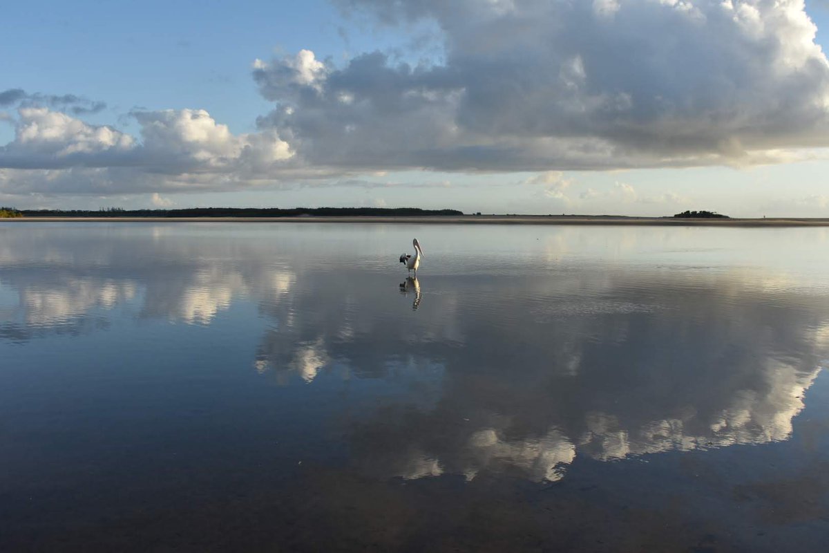 Good morning everyone.
Cotton Tree, Sunshine Coast Australia.
#landscapephotography #landscape #lindquistphotography  #qld #sunshinecoast #photography #visitqld