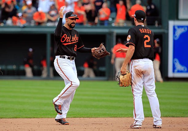 ZFARM_'s tweet photo. The spirit lives on in them

#Birdland https://t.co/JiNcn71Vng