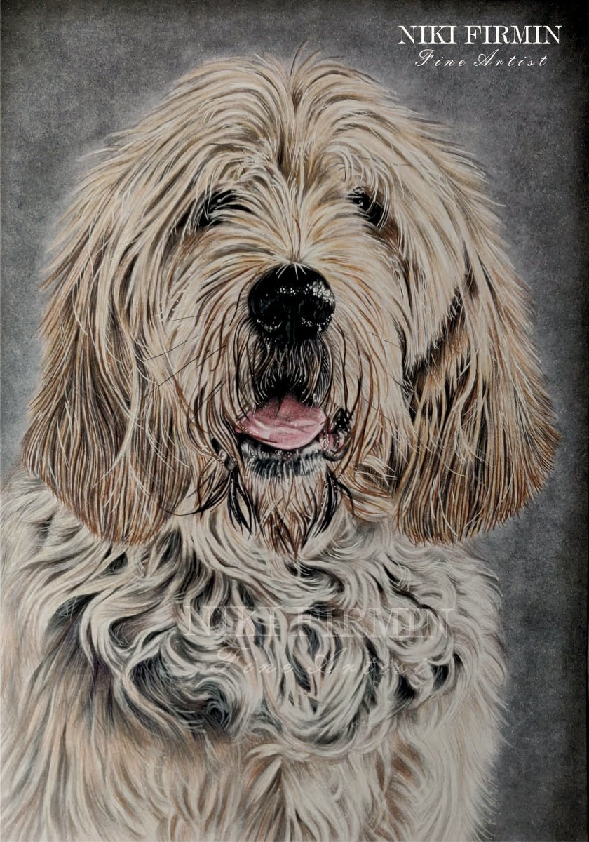 Hope you all had a great weekend!

My latest furbaby portrait of Gorgeous #otterhound Henry complete. 💕🐕‍🦺🐾x

 #petportraitartist #petportraitcommission #artist #artwork #art #dogs