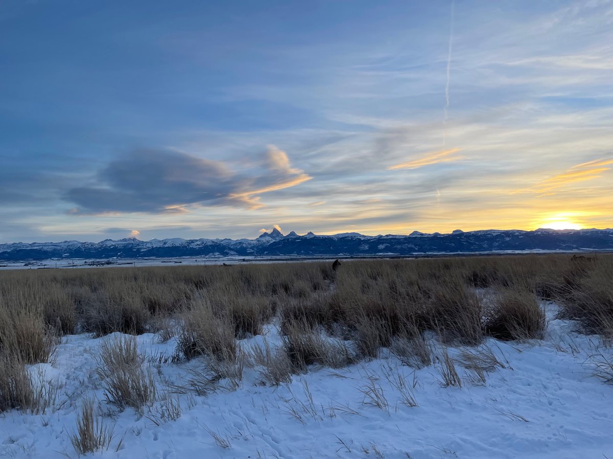RollinDons's tweet photo. @Matt_Pinner https://t.co/gA3B9ZQ5DB