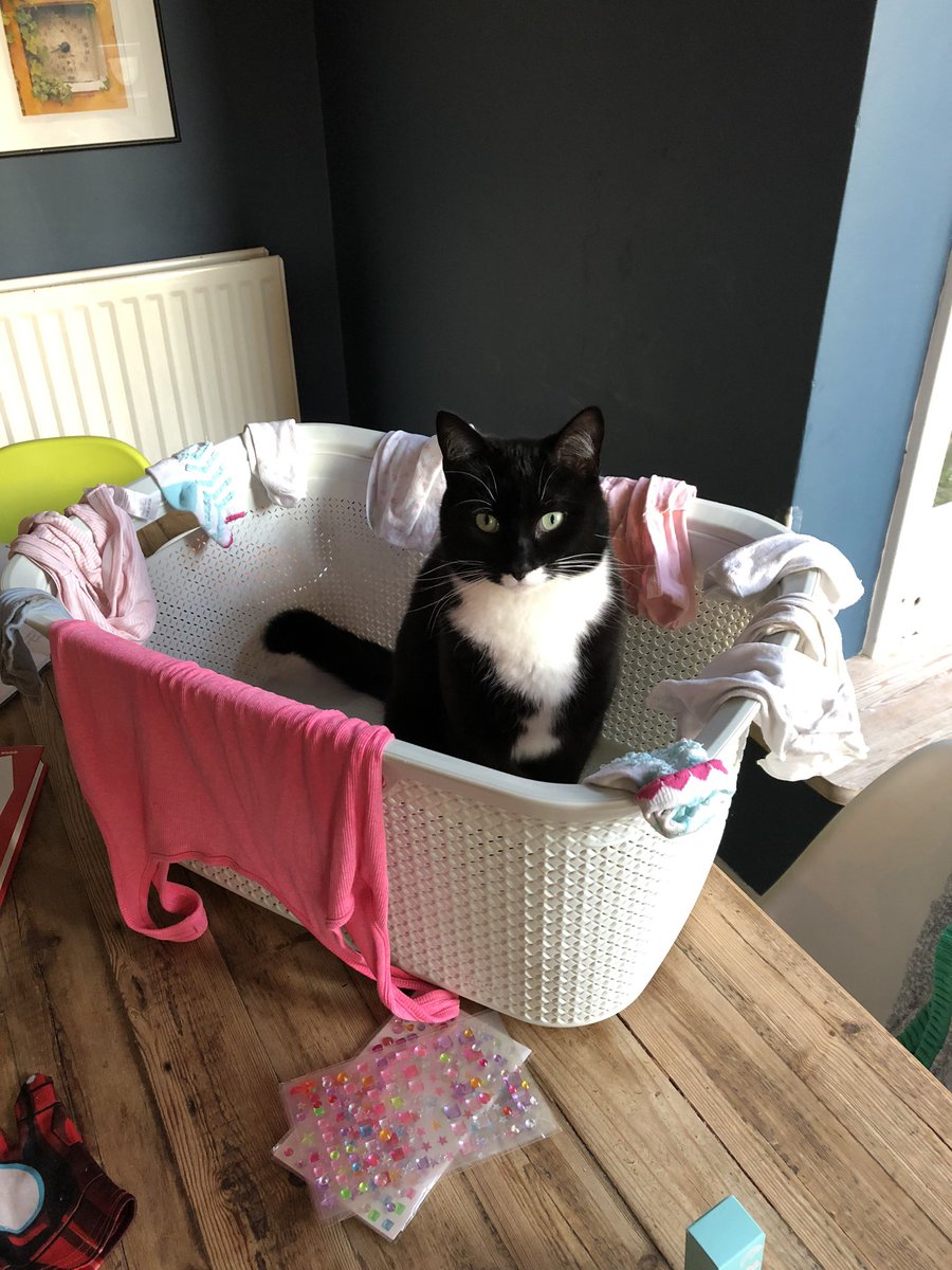 Jonathan Dale tweet media