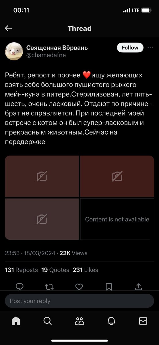 ChristianDeVil_'s tweet photo. Увидел твит с просьбой взять брошенного котика. Нашел несколько вариантов, подготовился к передержке, а которой договаривались. Человек сначала отвечал, а вчера я спросил, привезли ли котика в город. Сегодня нахожу переписку - она вычищена в ноль. 
Непонимаемо. Осуждаемо. https://t.co/f2h2UeBx73