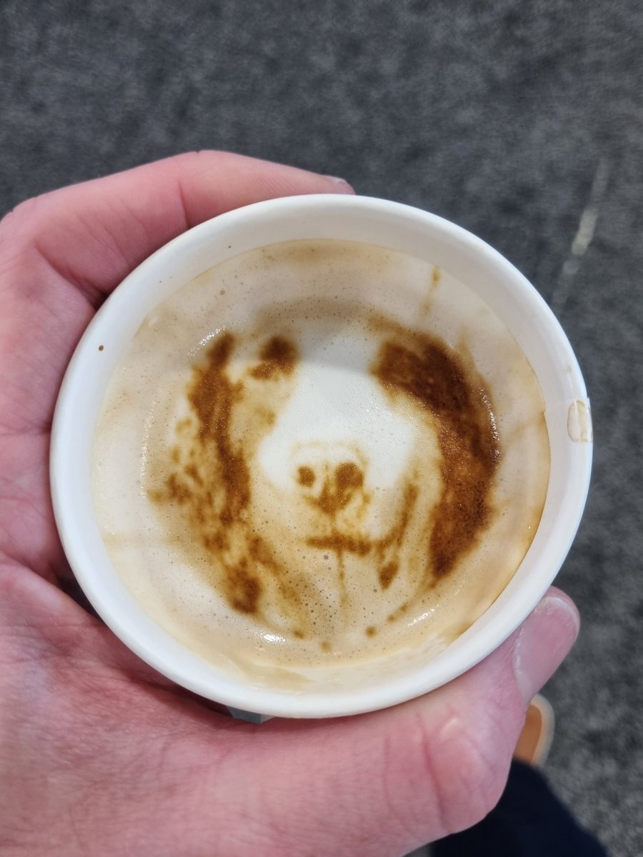 gavinbrittain's tweet photo. Compulsory dog art coffee https://t.co/RAVZOsa1bg