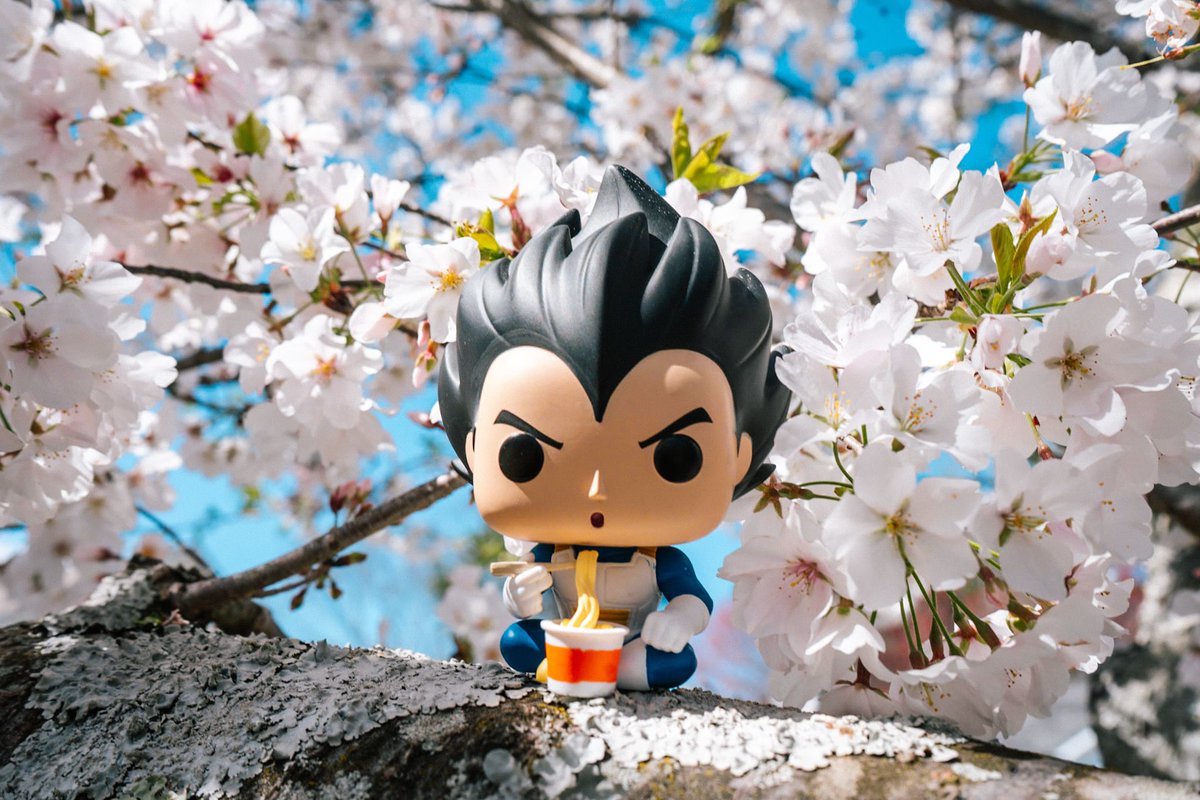 #vegeta #DragonBallSuper #DragonBall #DragonBallz #dbz #flowers #photo #photographer #photooftheday #spring #anime #funko #AnimeFigure