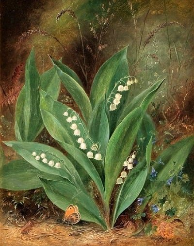 Albert Dürer Lucas (1828-1919), Lily of the valley, 1871 oil on canvas private collection