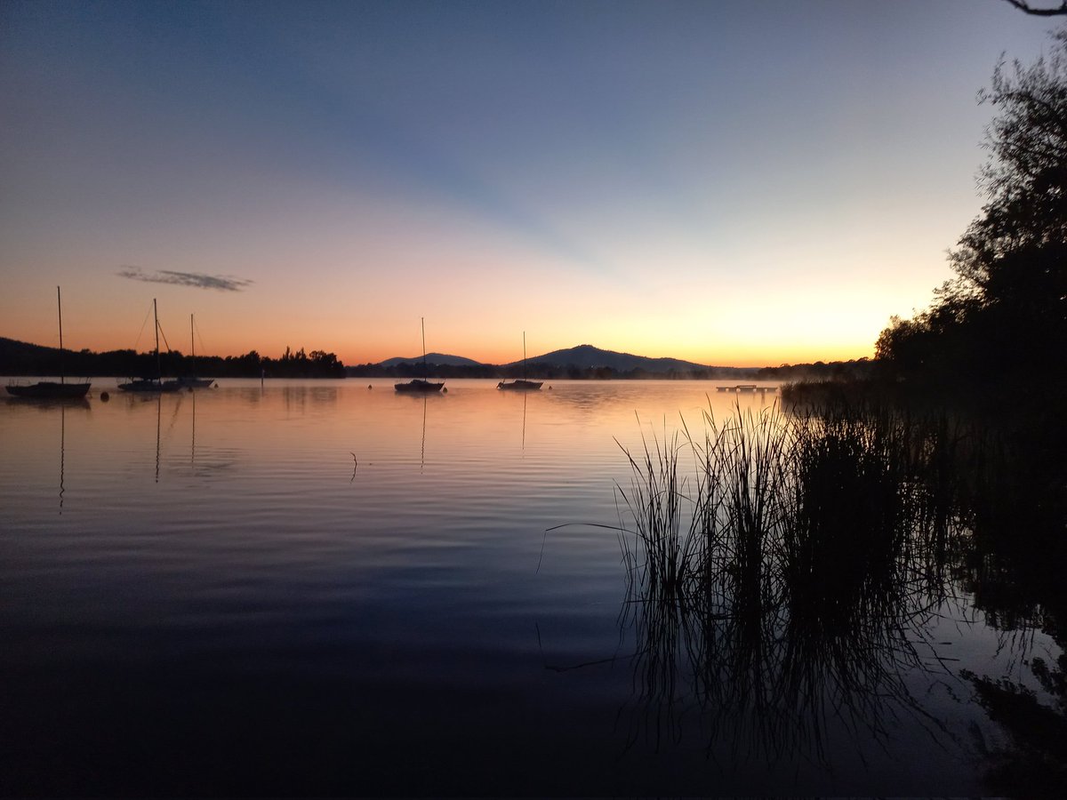 Ross MacPherson tweet media