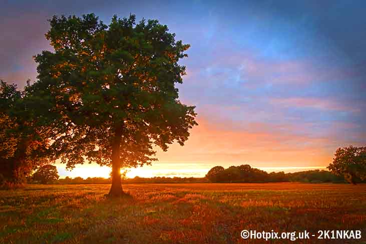 Final decision set for 150 homes on farmland despite local   outcry uk.news.yahoo.com/final-decision…   #ukhousing #socialHousing #rural