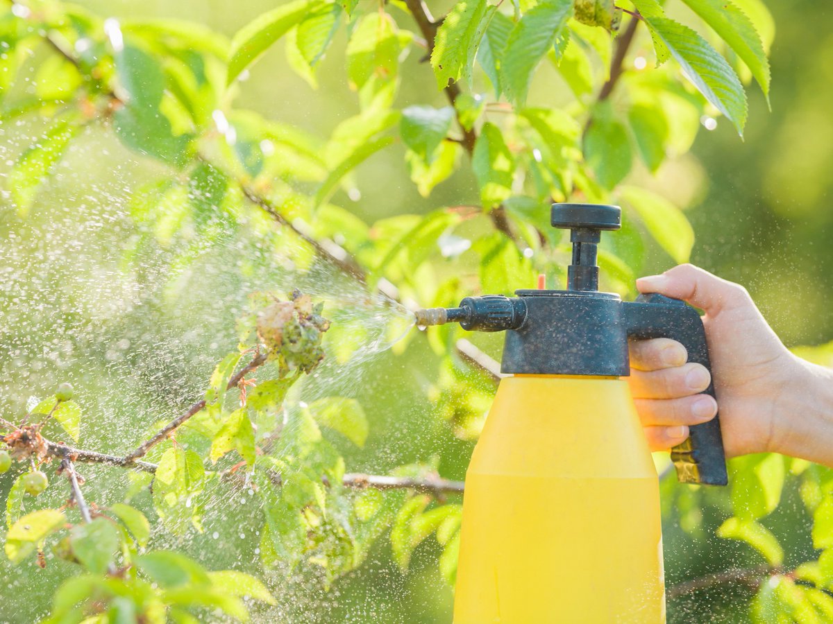 A growing body of evidence links certain pesticides, dry-cleaning chemicals, and #AirPollution to #Parkinsons disease. Learn more: bit.ly/43WrbBC #Pollution