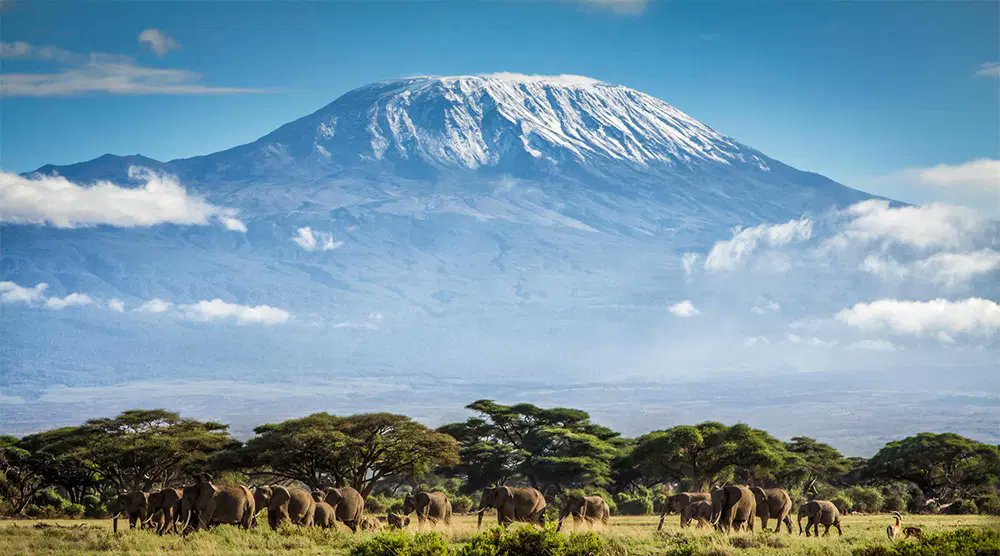 The view of Mountain Kilimanjaro is always spectacular in whatever angle #travel
