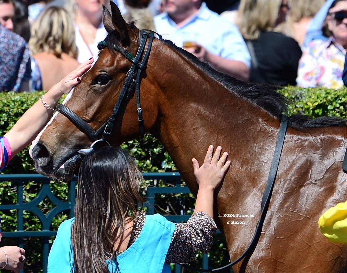 Frances J Karon tweet media