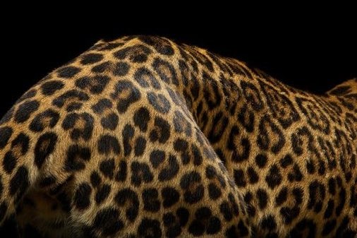 cherry heaven club (@cherryh3aven) on Twitter photo 