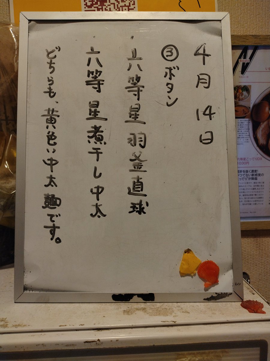 麺や六等星 六等星煮干し中太(並❔) 今日は2杯食べてたので並申請も🙄 ゲンコツ脂に背脂もブレンドされたサラサラでしつこさの無い脂🐷に、煮干し🐟がビシッと効いたスゥプ、これ好きなやつ😋🤤 食べ応えのある中太麺ともいい感じ😉 隣の🍄さん、並以上を2杯😲 やっぱり積んでるエンジンが違うな🫣🤔