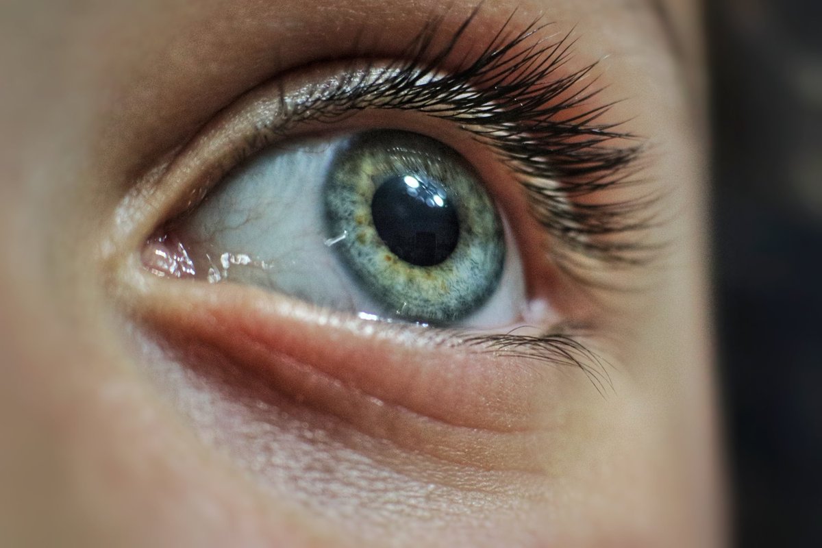 Eye 👁️ #photography #macrophotography