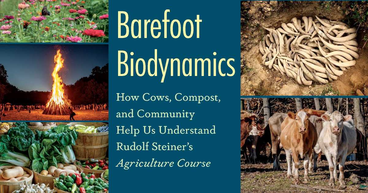 '<This book> will appeal not only to the biodynamic-curious, but also to farmers and gardeners who have experimented with the biodynamic approach and are looking for a deeper understanding of the practice.' Order the 'Barefoot Biodynamics' book here -> bit.ly/3PXG6pj