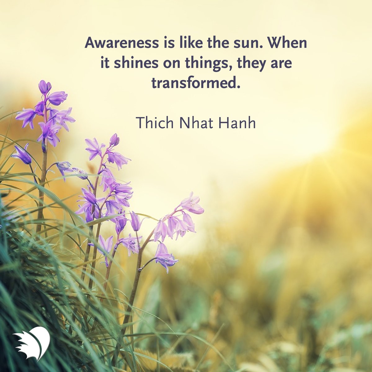 Awareness is like the sun. When it shines on things, they are transformed ☀️

#PHACanada #PositiveVibes #PositiveQuote #PHcommunity #MotivationalQuotes