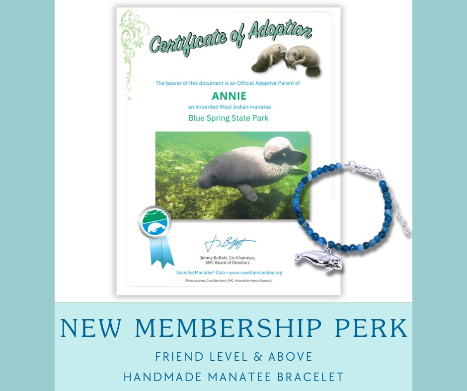 Adopt a manatee for #MothersDay!
Mother's Day is fast approaching - looking for an extra special gift? Look no further and adopt a #manatee! Each adoption at the $35 level and above also receives a limited-time only manatee bracelet!
adoptamanatee.org