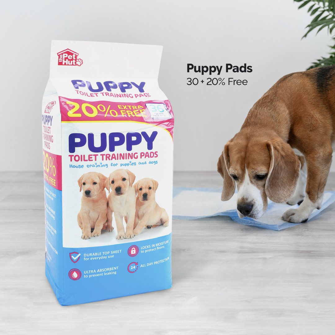 Our puppy toilet training pads currently have 20% extra free so grab a bag of 36 instead of 30! 🐶