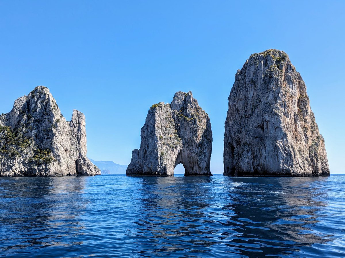 Dr Sarah Marsden tweet media