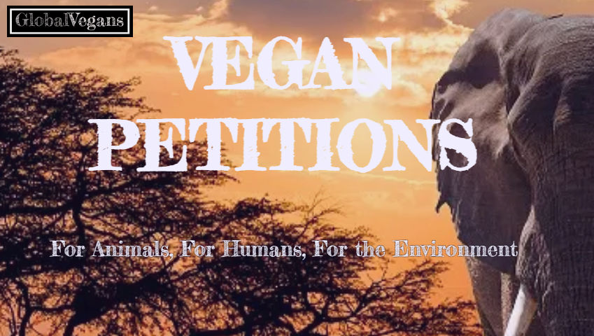 Make your mark and sign our petitions at Global Vegans. Together, we can create a better future for animals and the planet globalvegans.com/animal-petitio… #GoVegan #AnimalRights #AnimalPetitions